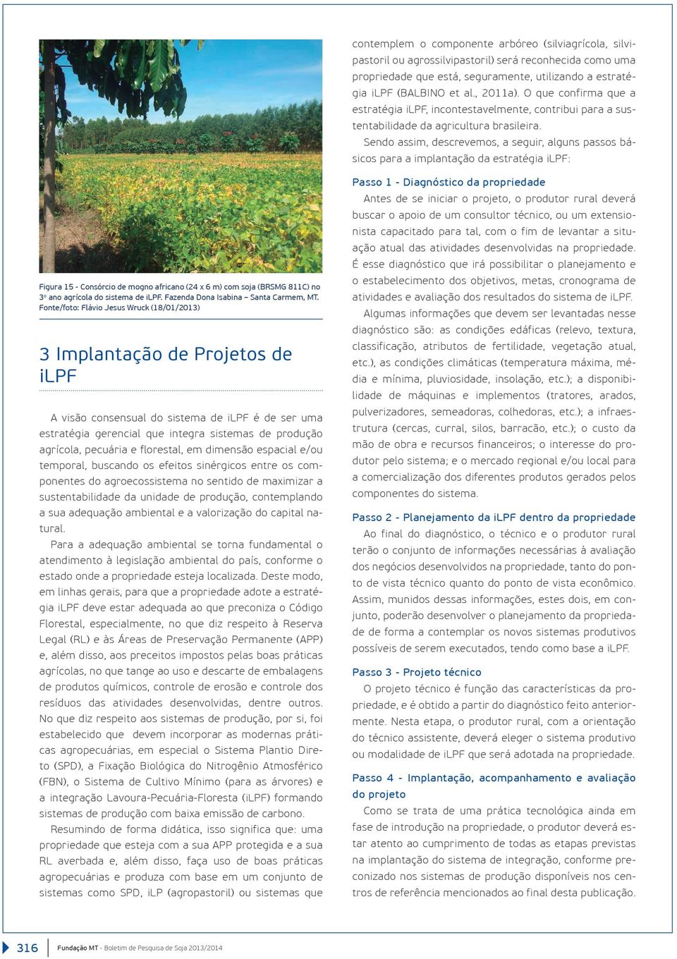 Sendo assim, descrevemos, a seguir, alguns passos básicos para a implantação da estratégia ilpf: Figura 15 - Consórcio de mogno africano (24 x 6 m) com soja (BRSMG 811C) no 3 o ano agrícola do