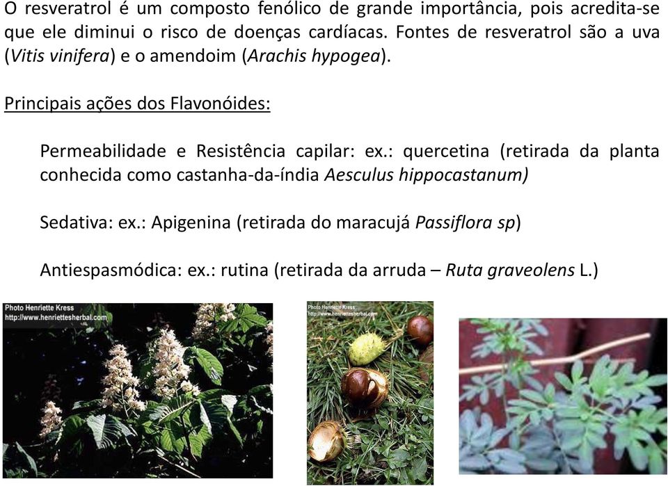 Principais ações dos Flavonóides: Permeabilidade e Resistência capilar: ex.