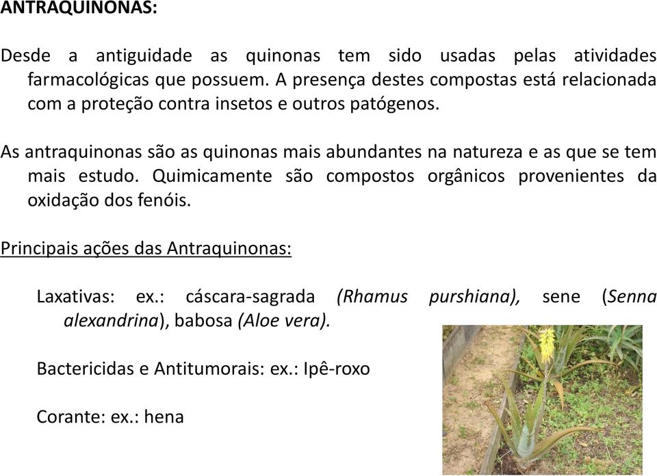As antraquinonas são as quinonas mais abundantes na natureza e as que se tem mais estudo.