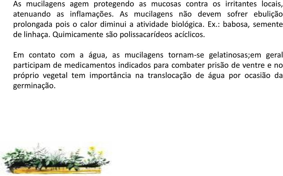 : babosa, semente de linhaça. Quimicamente são polissacarídeos acíclicos.