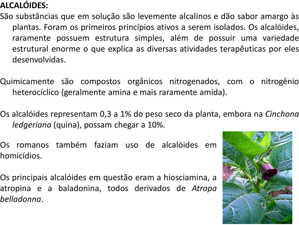 Quimicamente são compostos orgânicos nitrogenados, com o nitrogênio heterocíclico (geralmente amina e mais raramente amida).