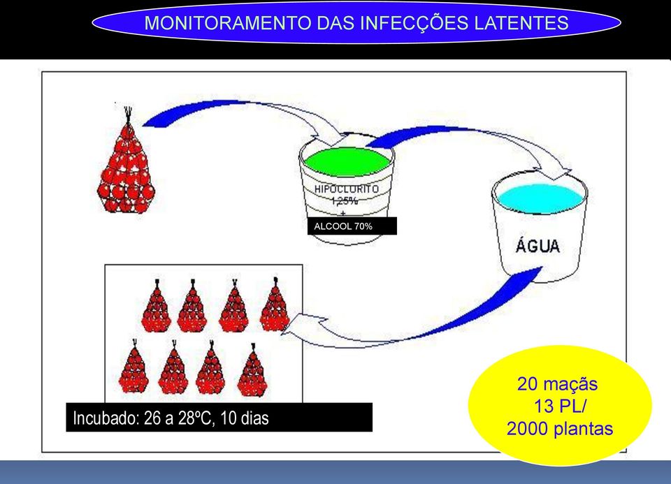 70% Incubado: 26 a 28ºC,