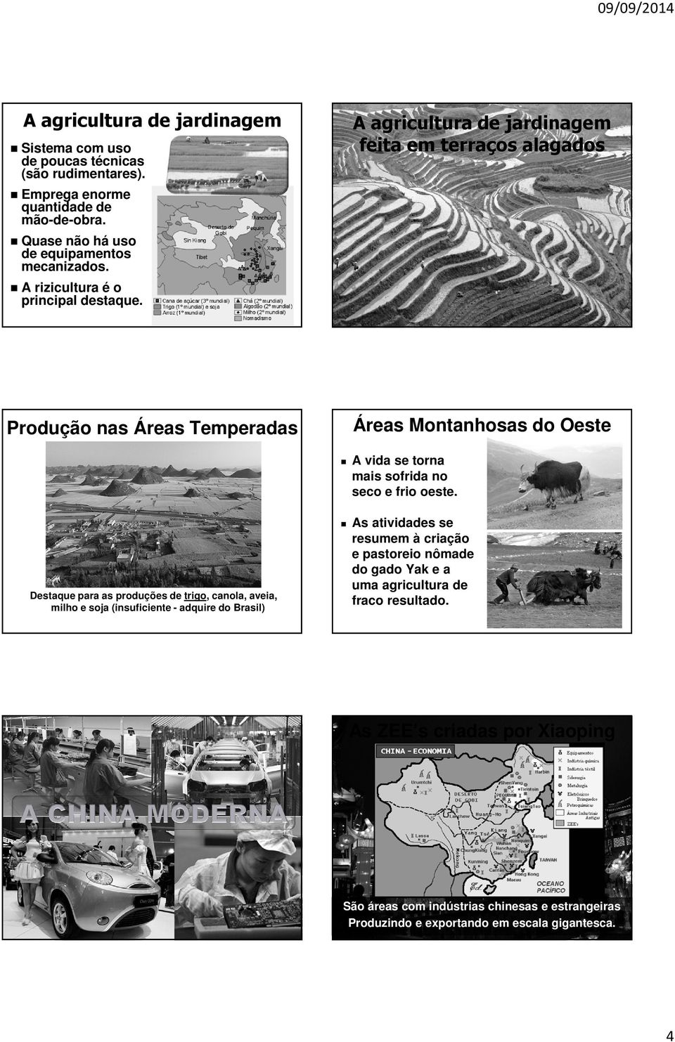 A agricultura de jardinagem feita em terraços alagados Áreas Montanhosas do Oeste Produção nas Áreas Temperadas Destaque para as produções de trigo, canola, aveia, milho e soja