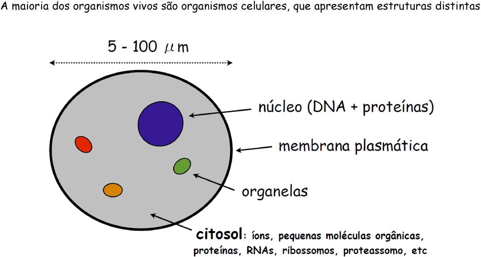 organismos celulares,