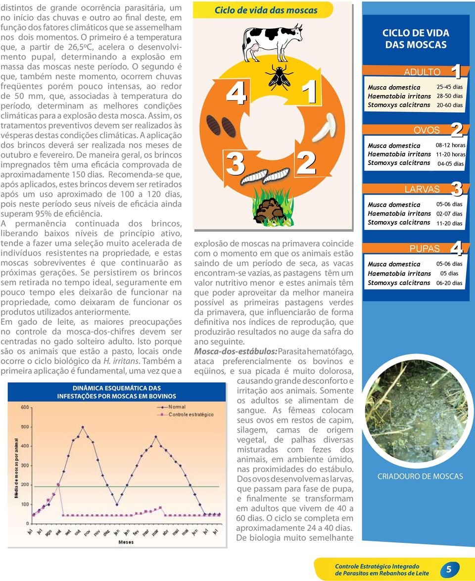 O segundo é que, também neste momento, ocorrem chuvas freqüentes porém pouco intensas, ao redor de 50 mm, que, associadas à temperatura do período, determinam as melhores condições climáticas para a