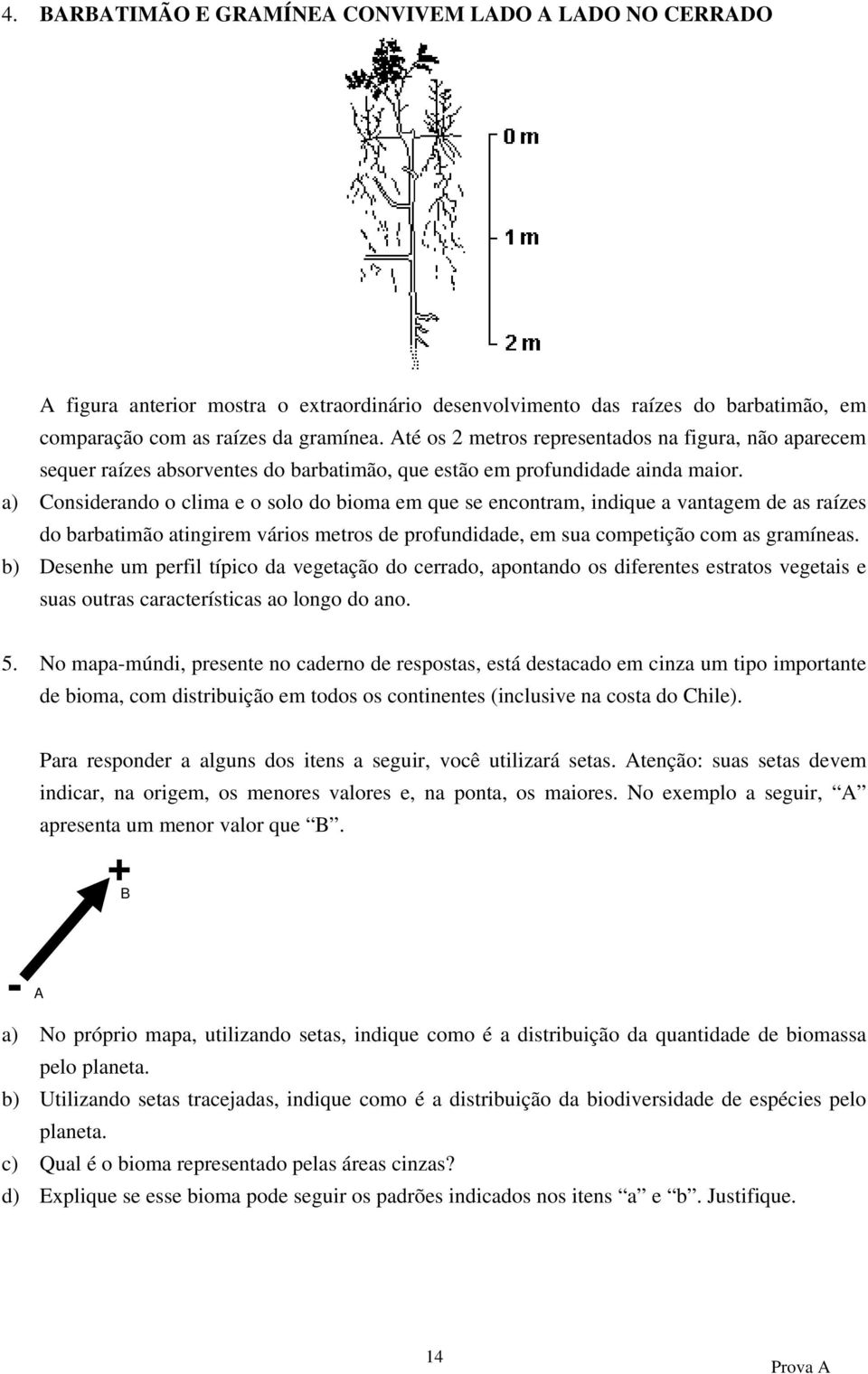 a) Considerando o clima e o solo do bioma em que se encontram, indique a vantagem de as raízes do barbatimão atingirem vários metros de profundidade, em sua competição com as gramíneas.