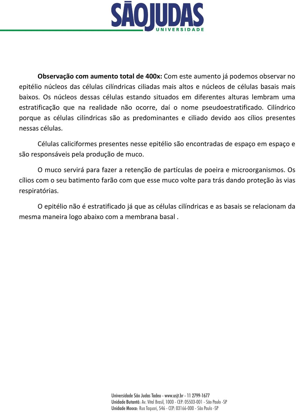 Cilíndrico porque as células cilíndricas são as predominantes e ciliado devido aos cílios presentes nessas células.