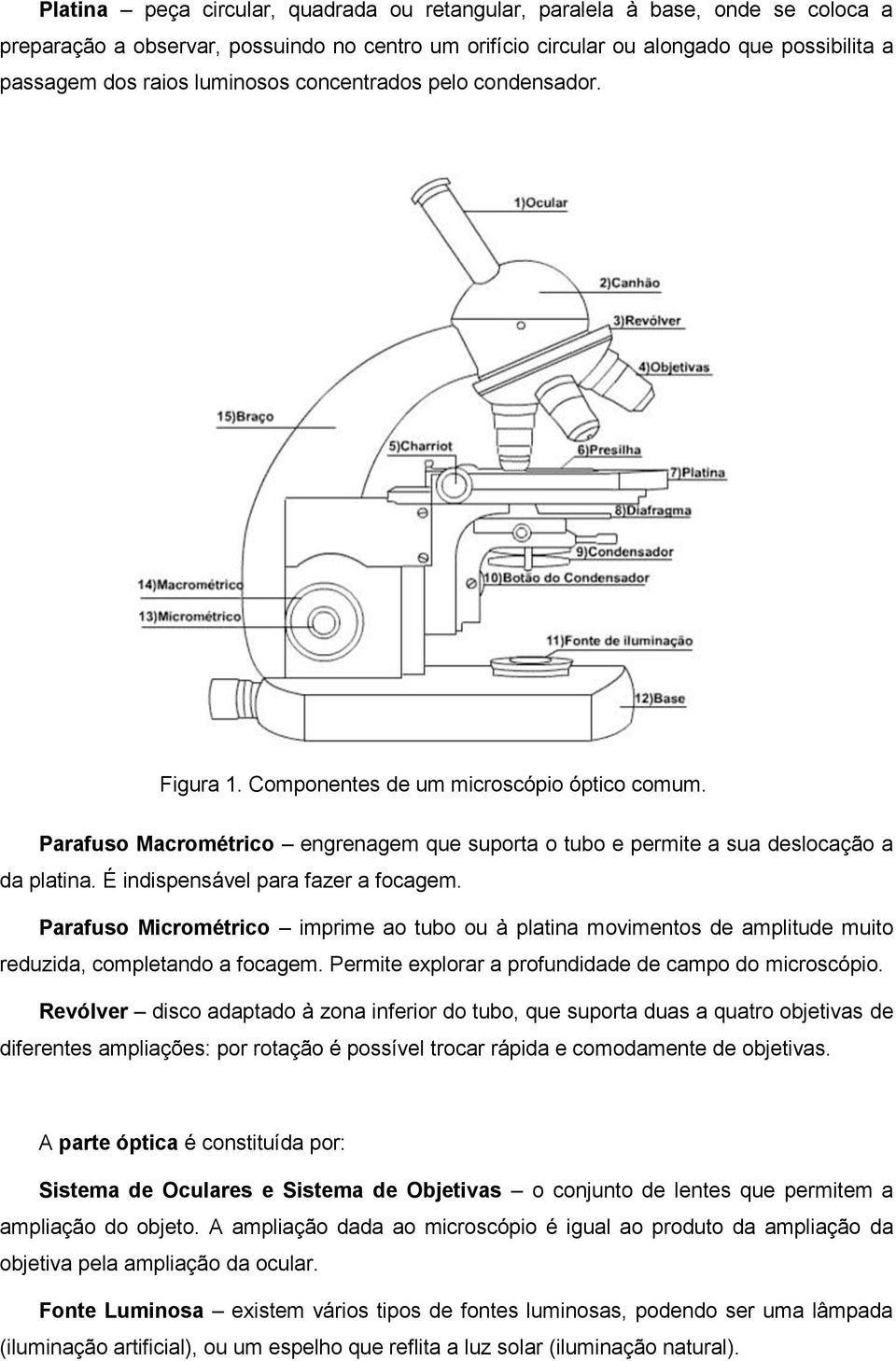 É indispensável para fazer a focagem. Parafuso Micrométrico imprime ao tubo ou à platina movimentos de amplitude muito reduzida, completando a focagem.