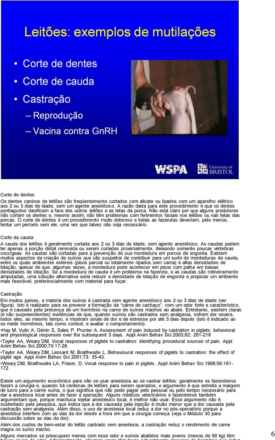 Não está claro por que alguns produtores não cortam os dentes e, mesmo assim, não têm problemas com ferimentos faciais nos leitões ou nas tetas das porcas.