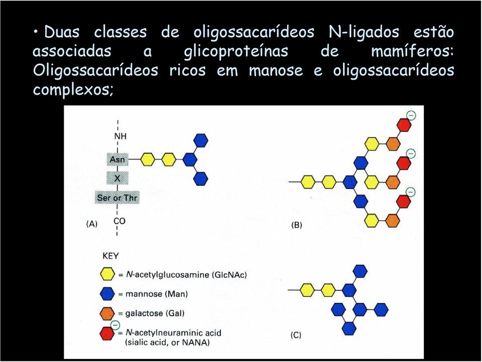 glicoproteínas de mamíferos: