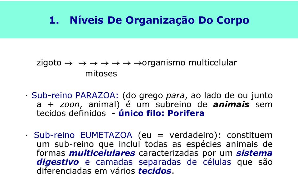 Sub-reino EUMETAZOA (eu = verdadeiro): constituem um sub-reino que inclui todas as espécies animais de formas