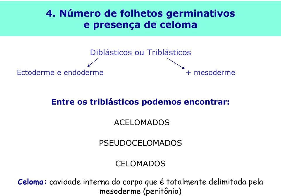 podemos encontrar: ACELOMADOS PSEUDOCELOMADOS CELOMADOS Celoma: