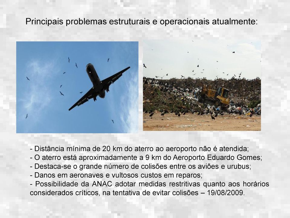 de colisões entre os aviões e urubus; - Danos em aeronaves e vultosos custos em reparos; - Possibilidade da ANAC