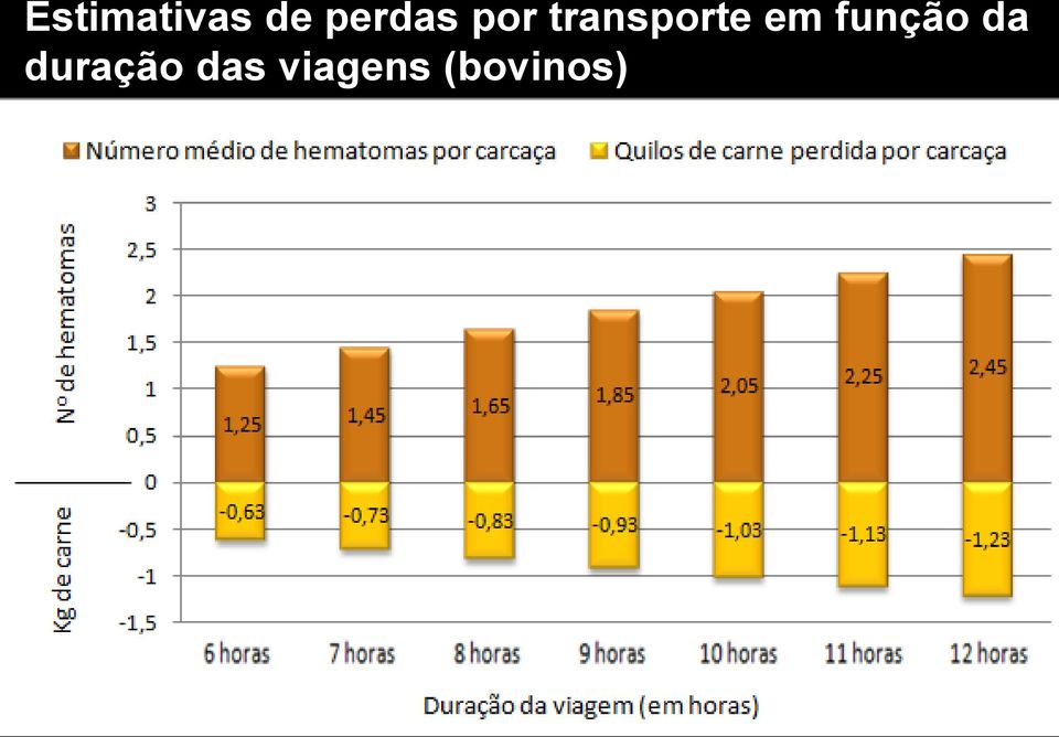 transporte em