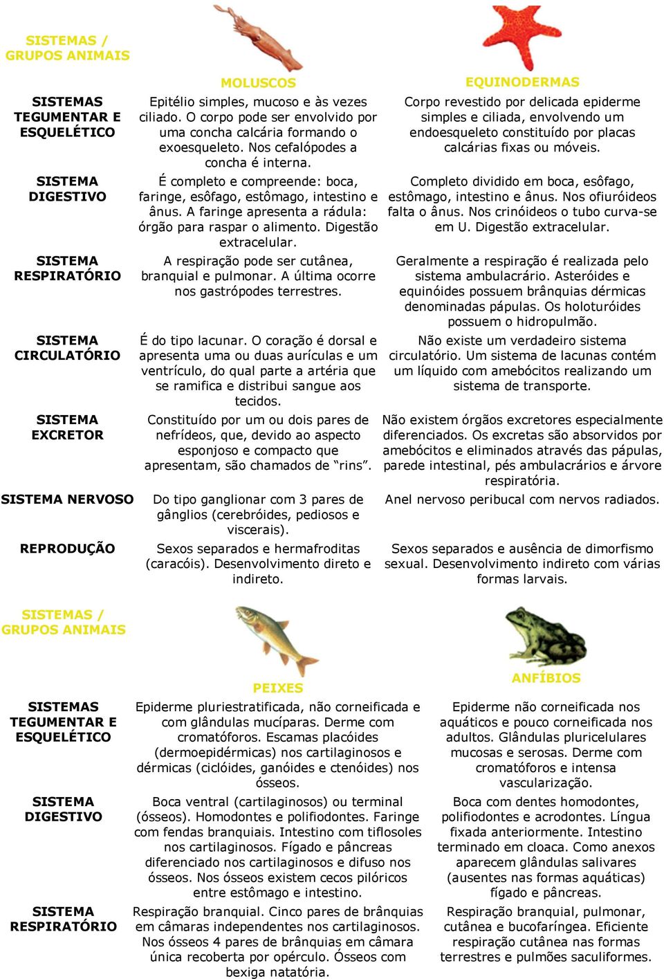 A respiração pode ser cutânea, branquial e pulmonar. A última ocorre nos gastrópodes terrestres. É do tipo lacunar.