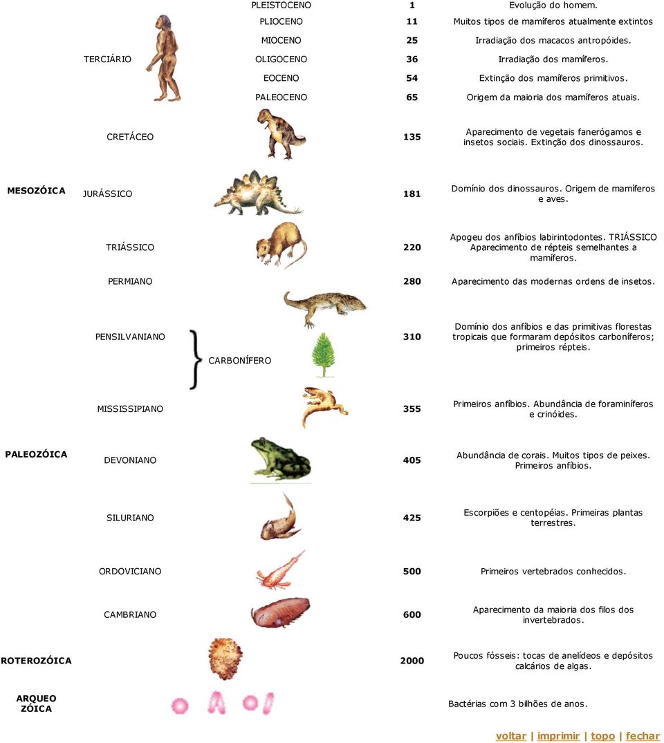 MESOZÓICA JURÁSSICO 181 Domínio dos dinossauros. Origem de mamíferos e aves. TRIÁSSICO 220 Apogeu dos anfíbios labirintodontes. TRIÁSSICO Aparecimento de répteis semelhantes a mamíferos.