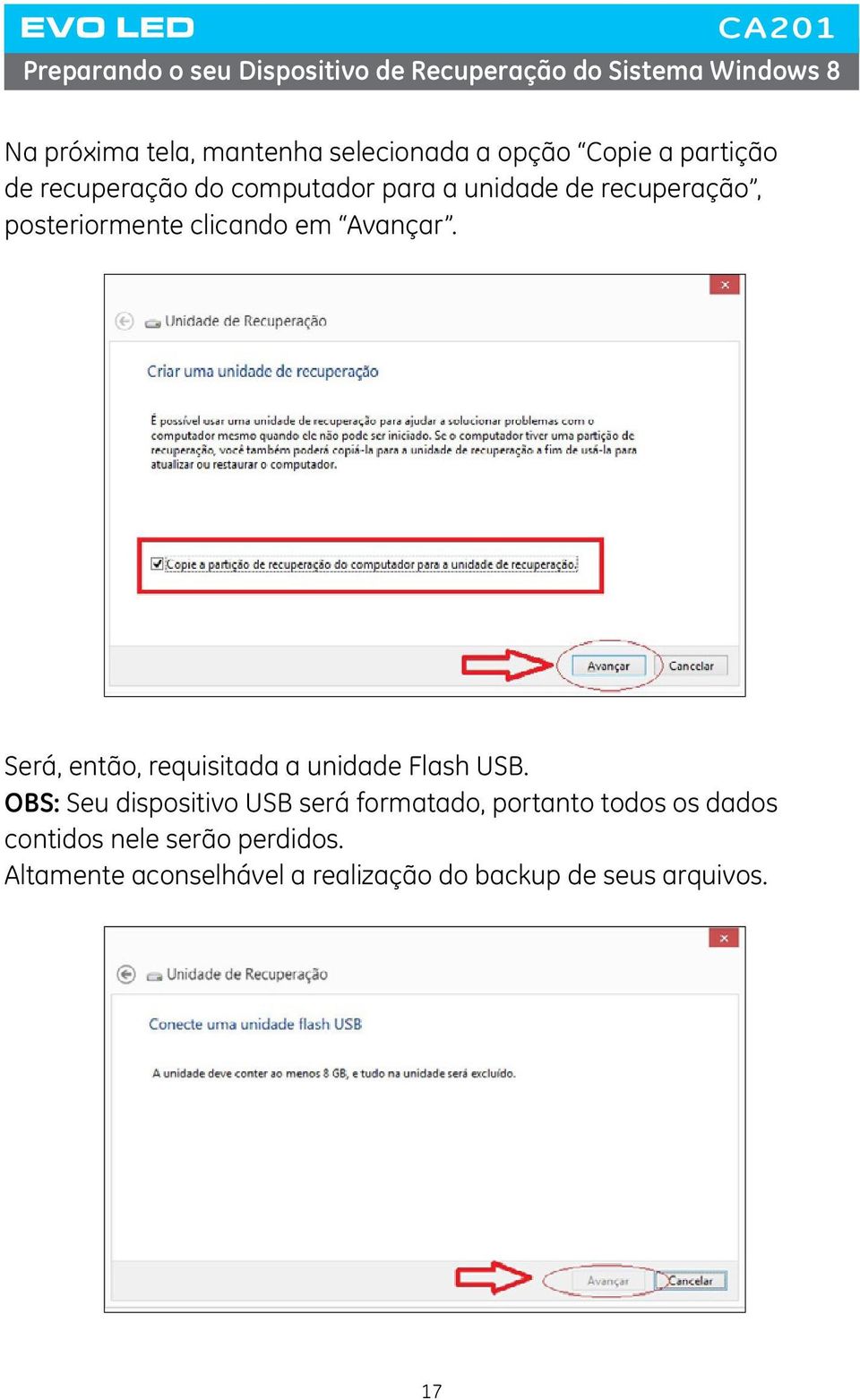 em Avançar. Será, então, requisitada a unidade Flash USB.