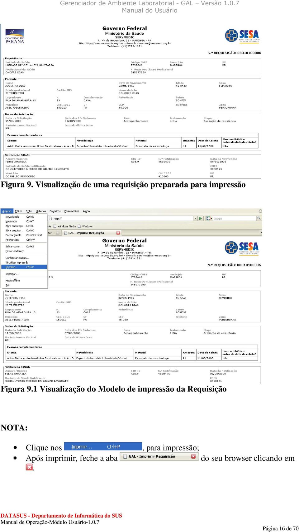 1 Visualização do Modelo de impressão da Requisição