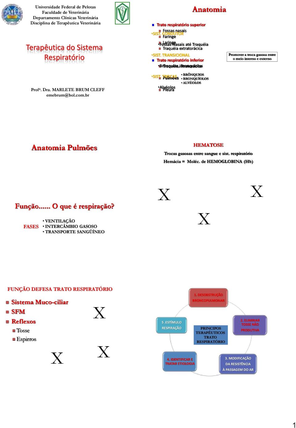 TRANSICIONAL Trato respiratório inferior Brônquios, Traquéia intratorácica Bronquíolos SIST.