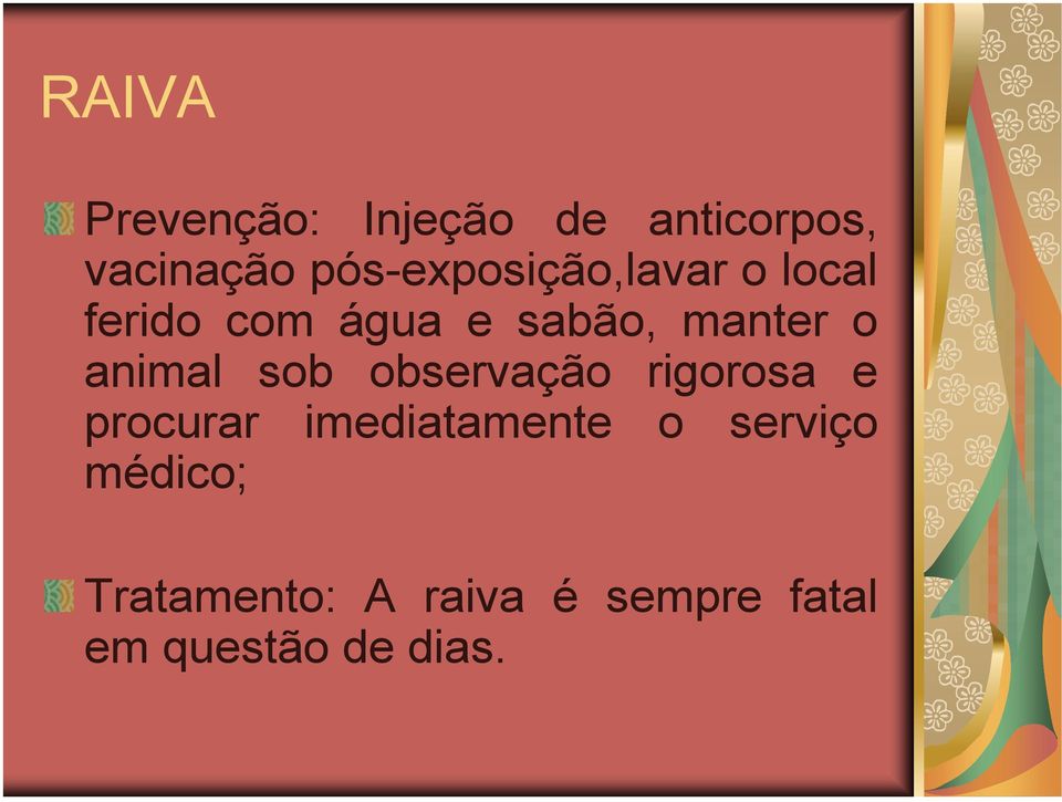 o animal sob observação rigorosa e procurar imediatamente o