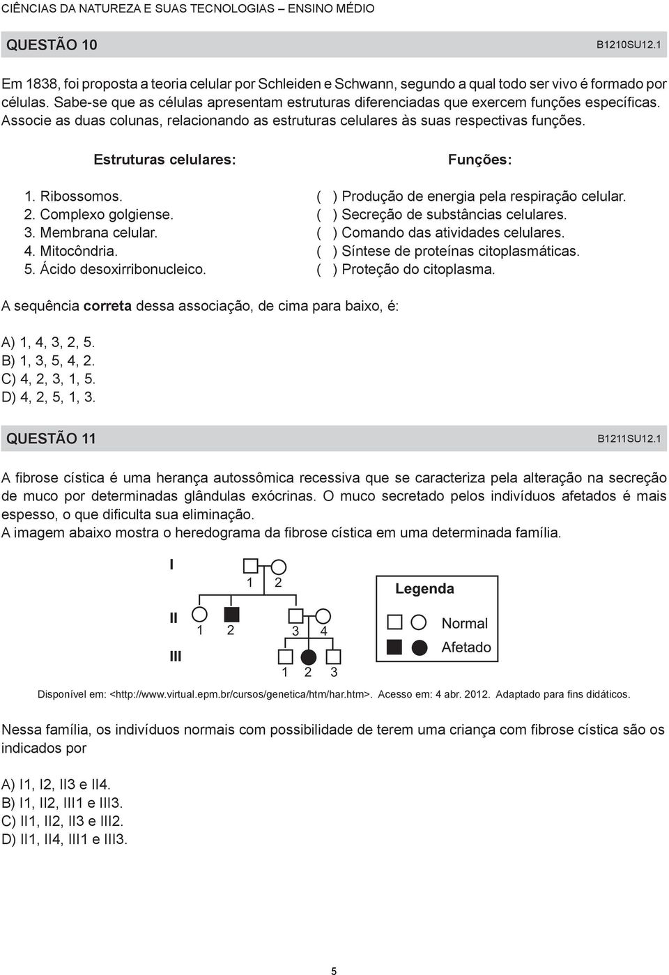 Estruturas celulares: 1. Ribossomos. 2. Complexo golgiense. 3. Membrana celular. 4. Mitocôndria. 5. Ácido desoxirribonucleico. Funções: ( ) Produção de energia pela respiração celular.