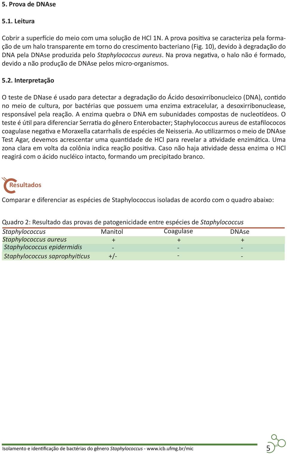 Interpretação O teste de DNase é usado para detectar a degradação do Ácido desoxirribonucleico (DNA), contido no meio de cultura, por bactérias que possuem uma enzima extracelular, a