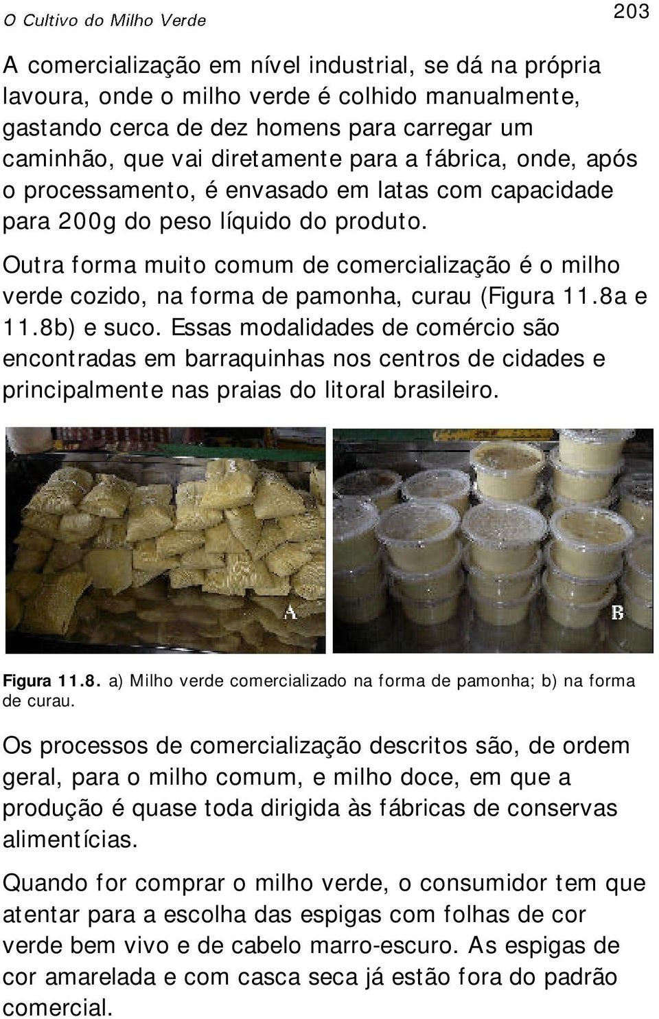 Outra forma muito comum de comercialização é o milho verde cozido, na forma de pamonha, curau (Figura 11.8a e 11.8b) e suco.