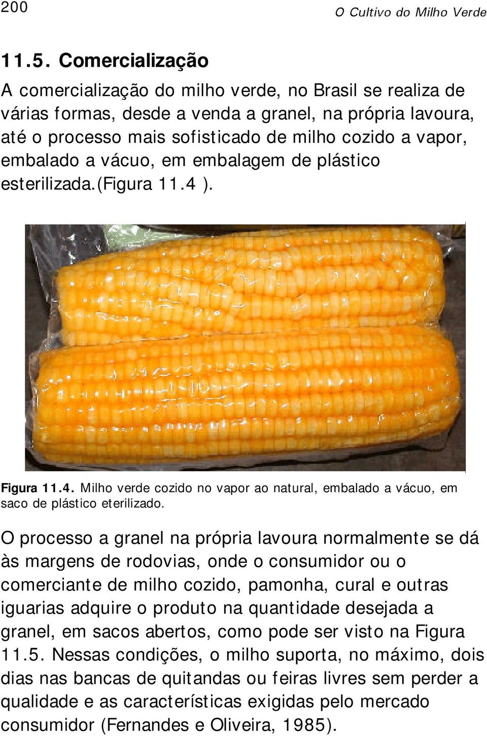 a vácuo, em embalagem de plástico esterilizada.(figura 11.4 ). Figura 11.4. Milho verde cozido no vapor ao natural, embalado a vácuo, em saco de plástico eterilizado.