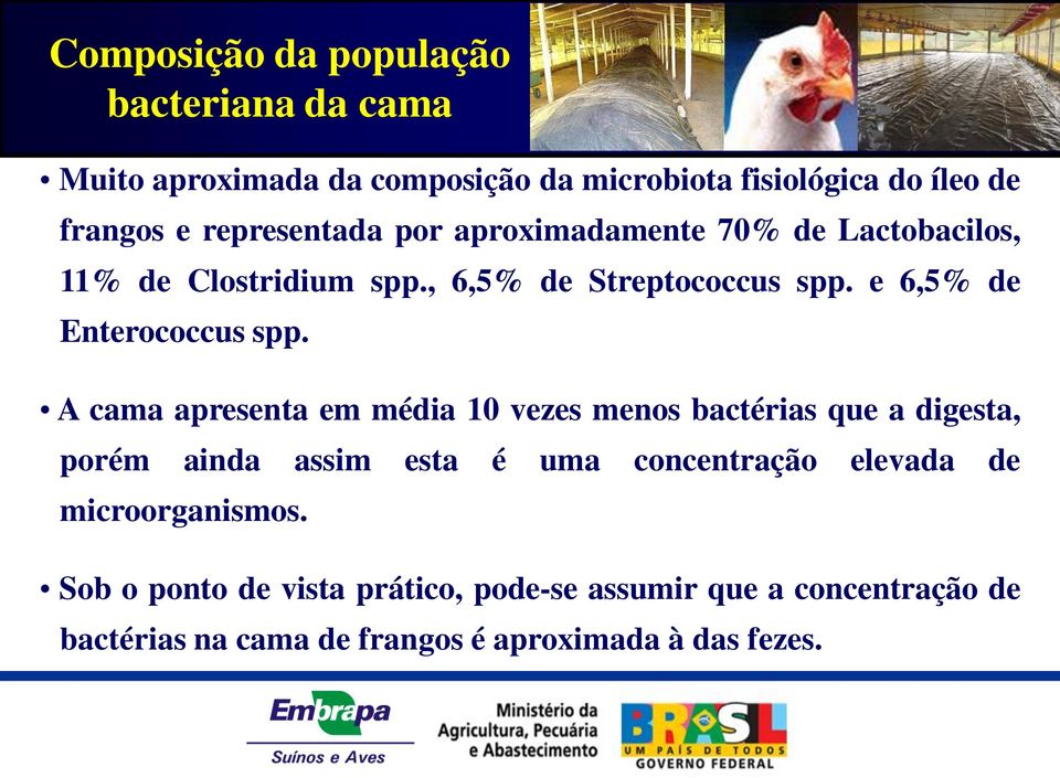 e 6,5% de Enterococcus spp.