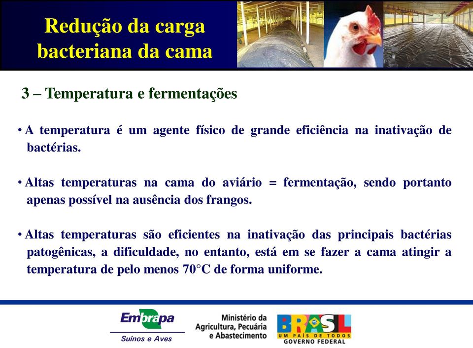 Altas temperaturas na cama do aviário = fermentação, sendo portanto apenas possível na ausência dos frangos.