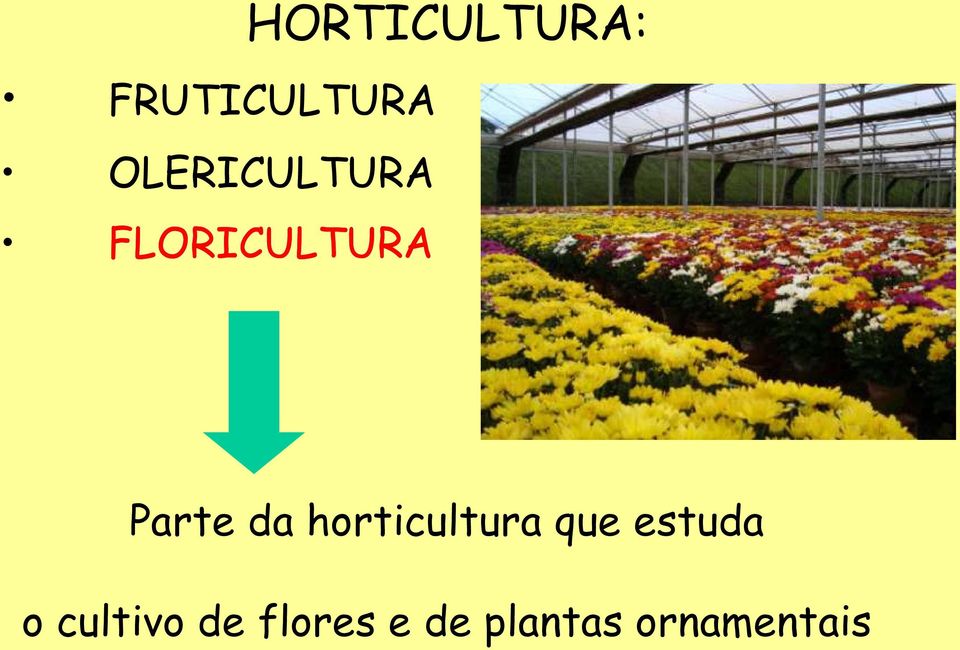 da horticultura que estuda o