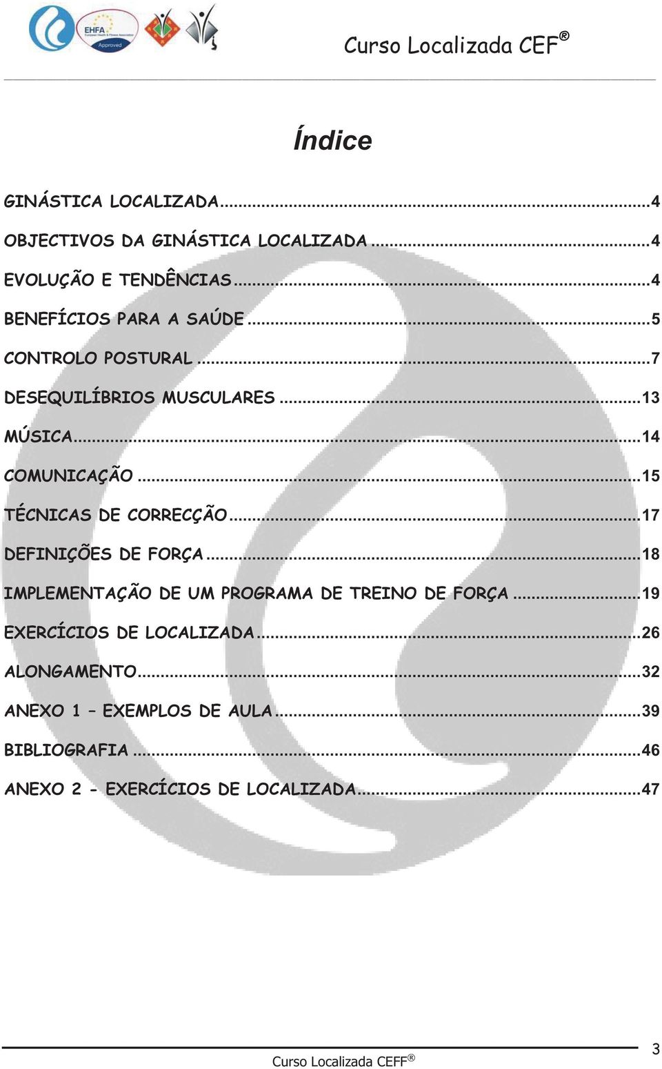 .. 17 DEFINIÇÕES DE FORÇA... 18 IMPLEMENTAÇÃO DE UM PROGRAMA DE TREINO DE FORÇA... 19 EXERCÍCIOS DE LOCALIZADA.