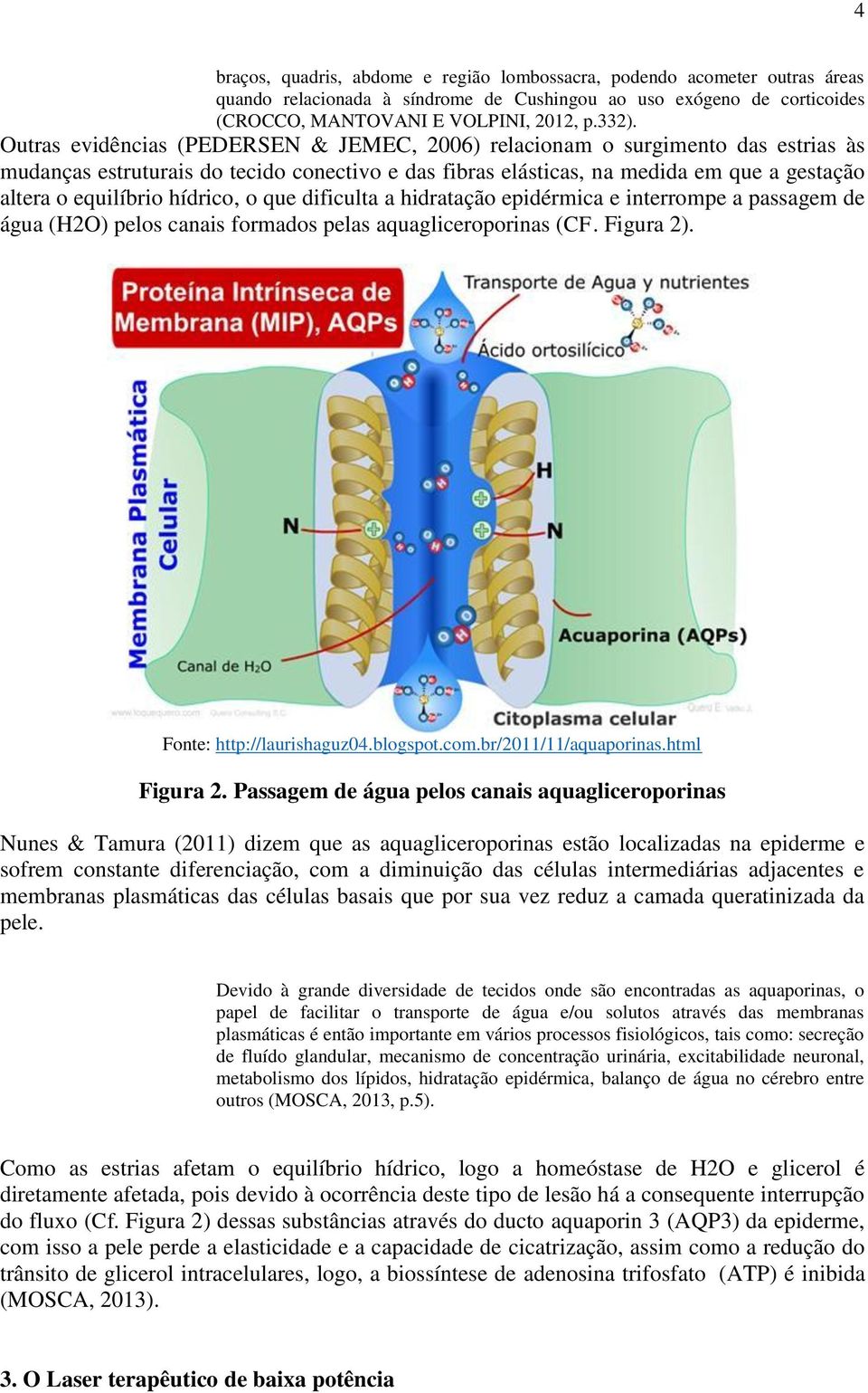 hídrico, o que dificulta a hidratação epidérmica e interrompe a passagem de água (H2O) pelos canais formados pelas aquagliceroporinas (CF. Figura 2). Fonte: http://laurishaguz04.blogspot.com.