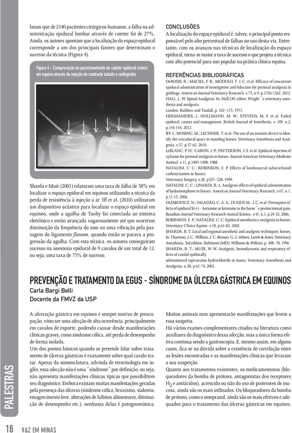 Figura 4 - Comprovação do posicionamento do cateter epidural (setas) em equino através da injeção de contraste iodado e radiografia.