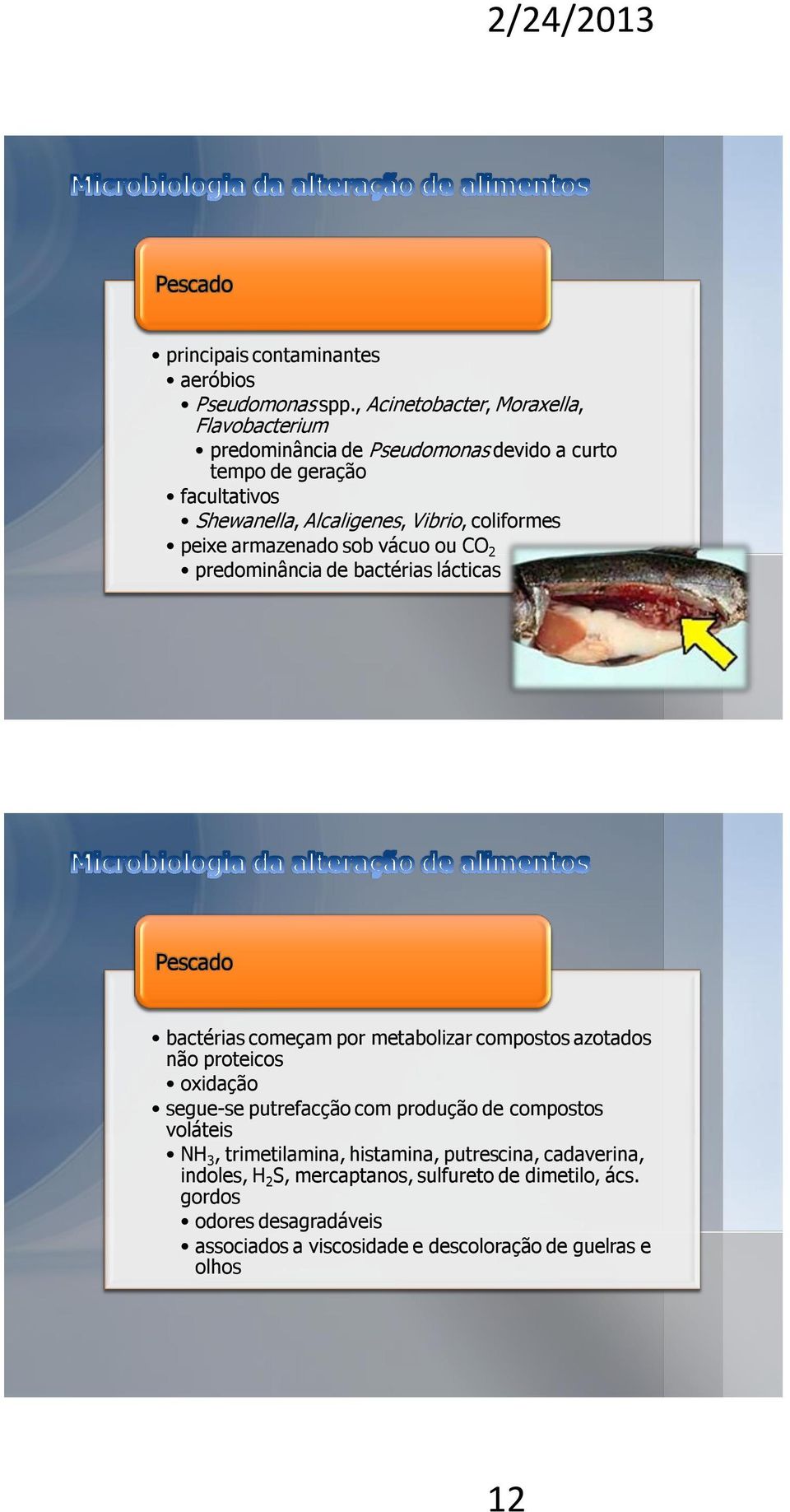 coliformes peixe armazenado sob vácuo ou CO 2 predominância de bactérias lácticas Pescado bactérias começam por metabolizar compostos azotados não proteicos