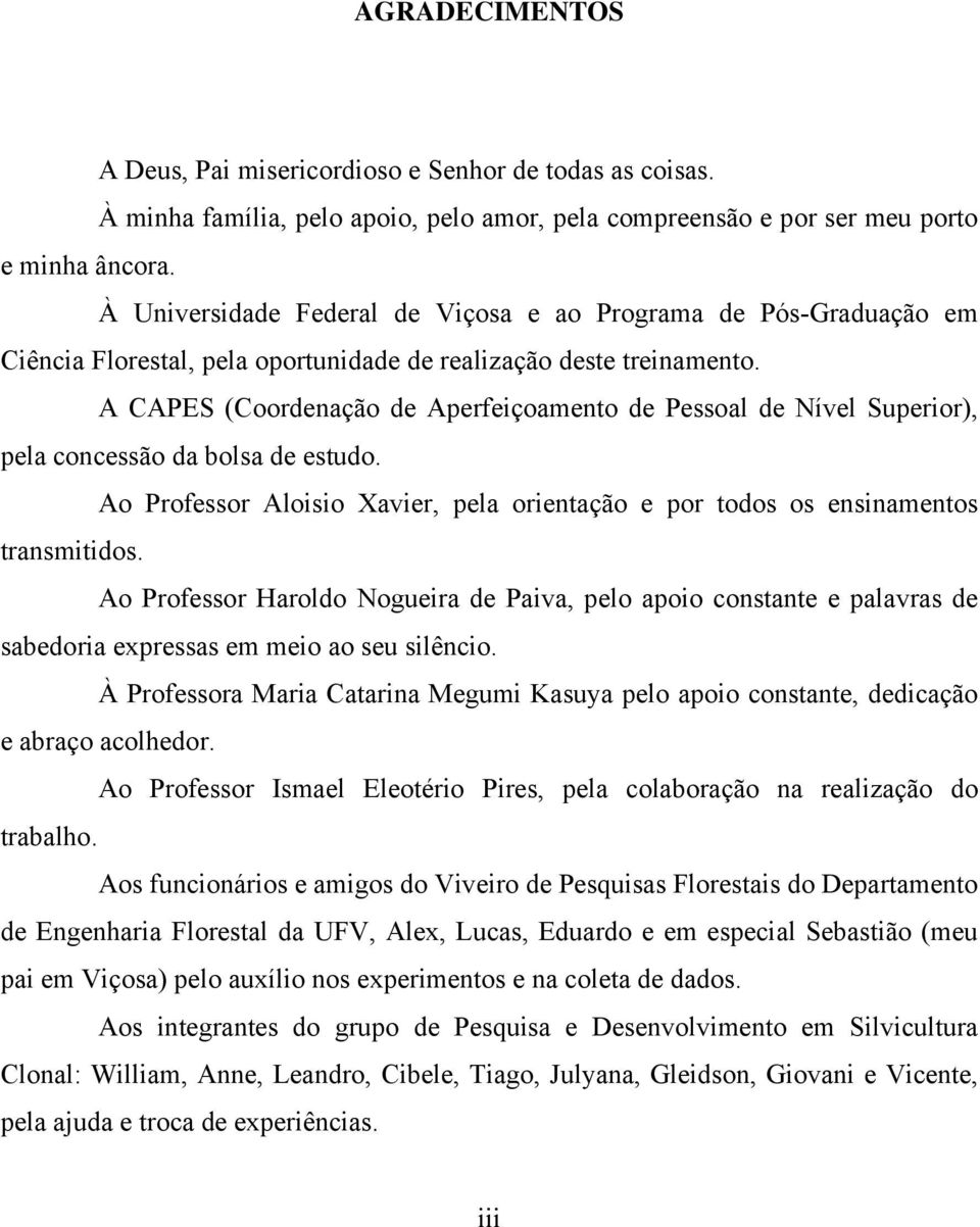 A CAPES (Coordenação de Aperfeiçoamento de Pessoal de Nível Superior), pela concessão da bolsa de estudo. Ao Professor Aloisio Xavier, pela orientação e por todos os ensinamentos transmitidos.