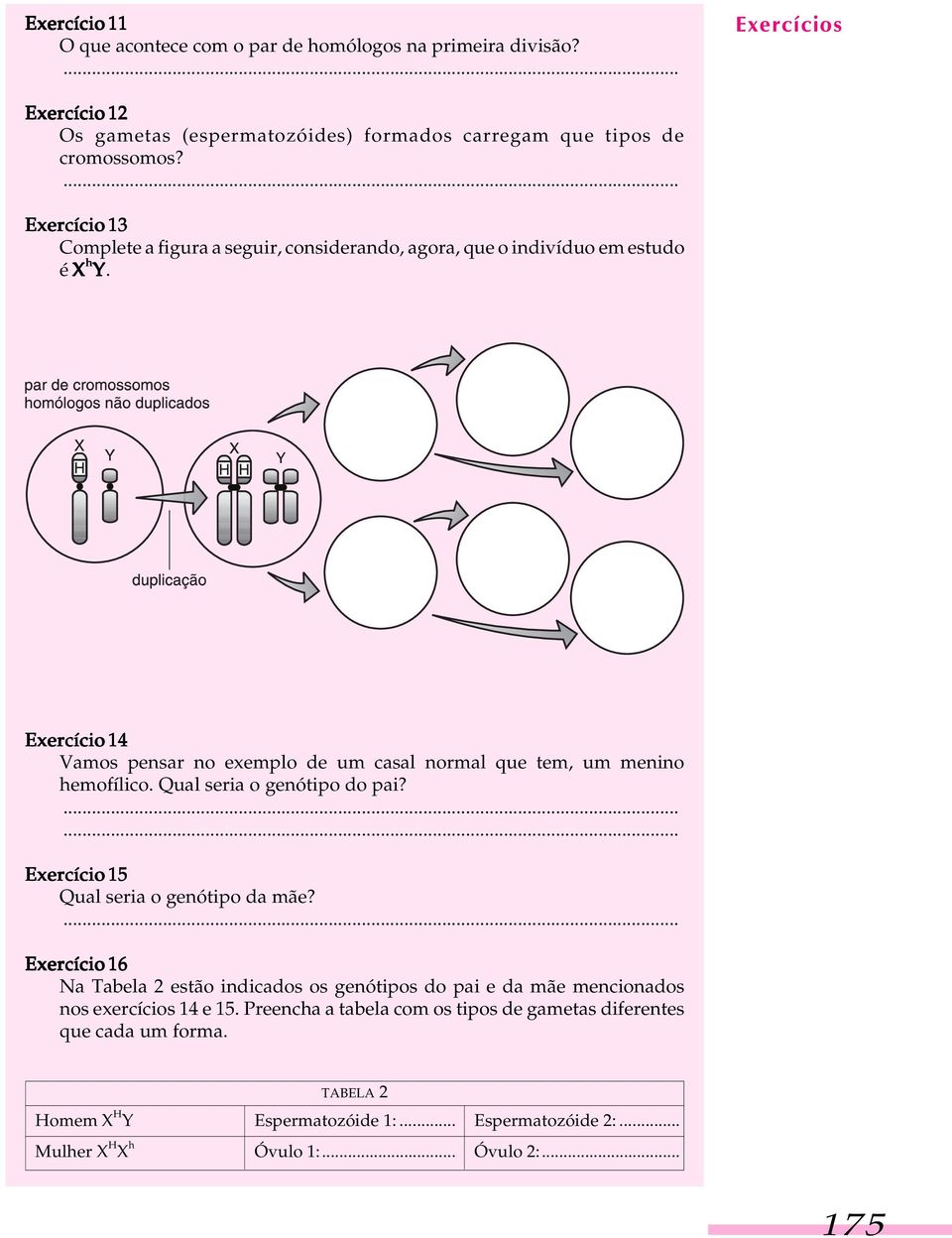 Exercício 14 Vamos pensar no exemplo de um casal normal que tem, um menino hemofílico. Qual seria o genótipo do pai? Exercício 15 Qual seria o genótipo da mãe?