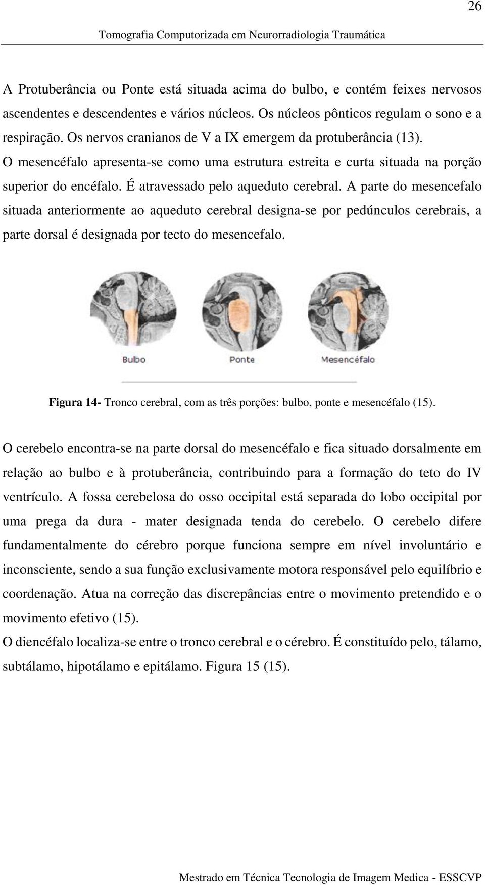 É atravessado pelo aqueduto cerebral. A parte do mesencefalo situada anteriormente ao aqueduto cerebral designa-se por pedúnculos cerebrais, a parte dorsal é designada por tecto do mesencefalo.