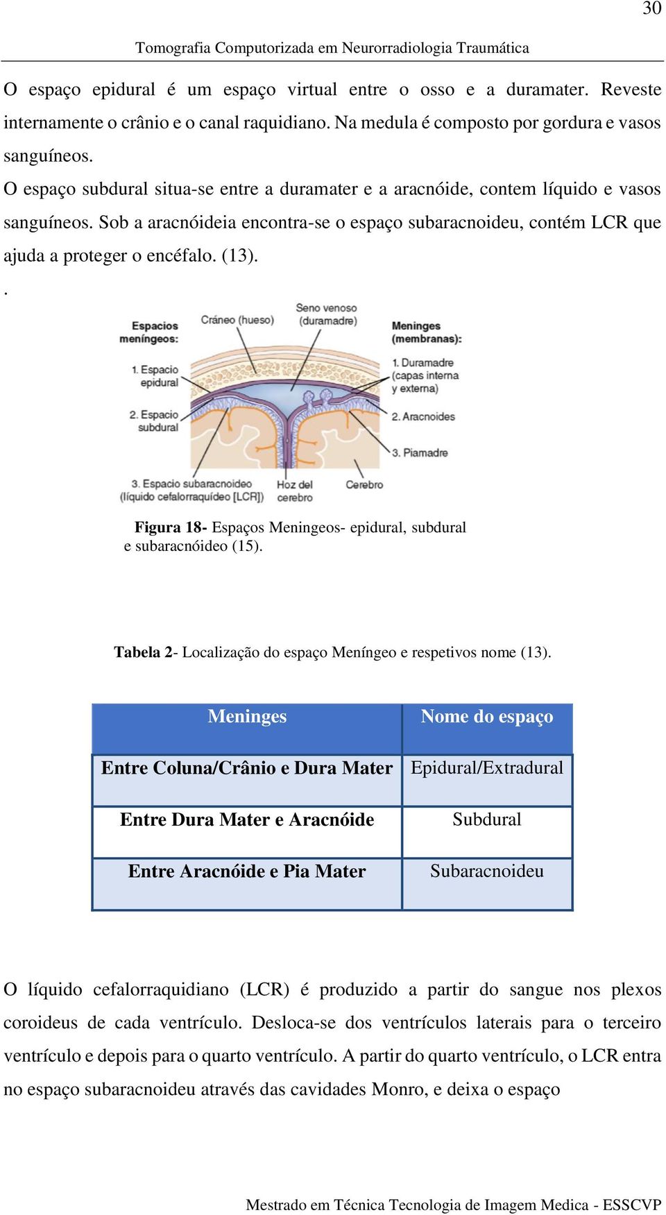 . Figura 18- Espaços Meningeos- epidural, subdural e subaracnóideo (15). Tabela 2- Localização do espaço Meníngeo e respetivos nome (13).