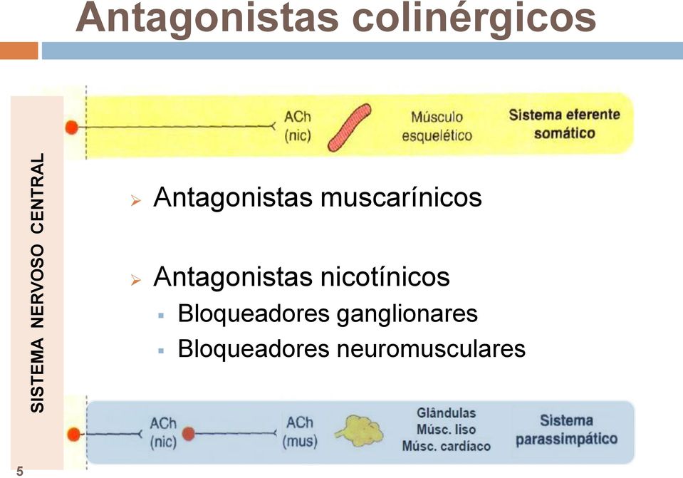 Antagonistas nicotínicos Bloqueadores