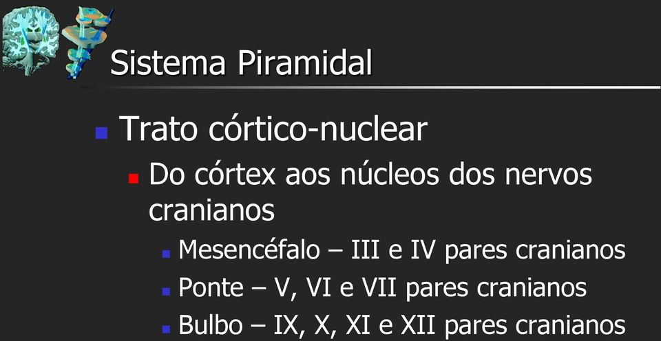 Mesencéfalo III e IV pares cranianos Ponte V,