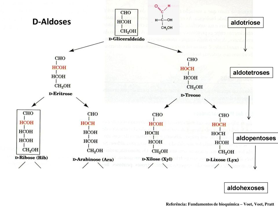 aldohexoses Referência: