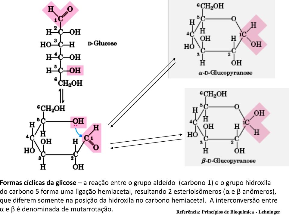 anômeros), que diferem somente na posição da hidroxila no carbono hemiacetal.