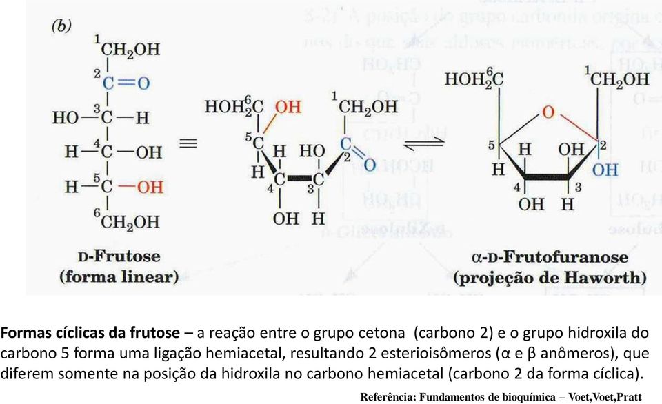 (α e β anômeros), que diferem somente na posição da hidroxila no carbono