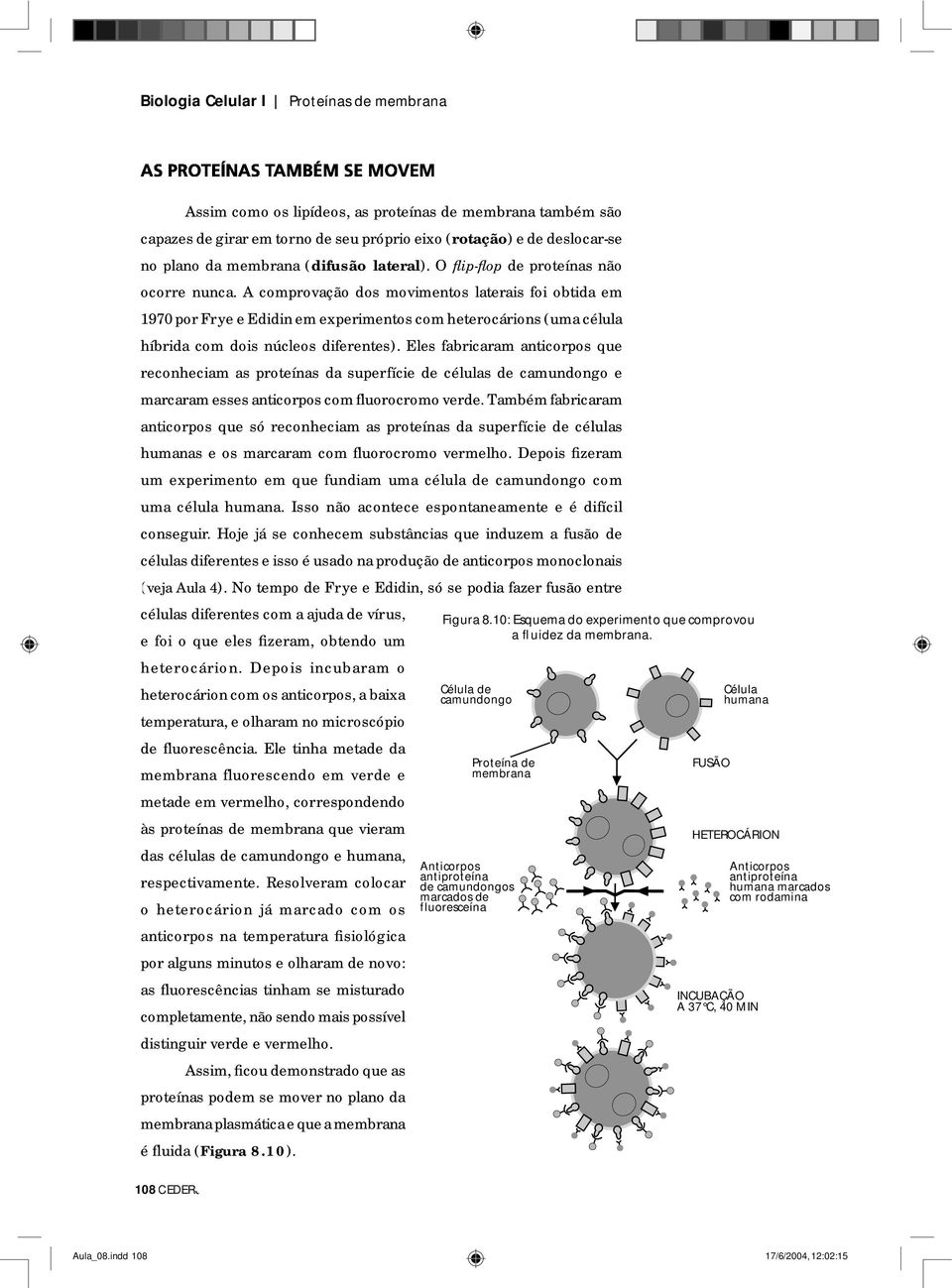 A comprovação dos movimentos laterais foi obtida em 1970 por Frye e Edidin em experimentos com heterocárions (uma célula híbrida com dois núcleos diferentes).