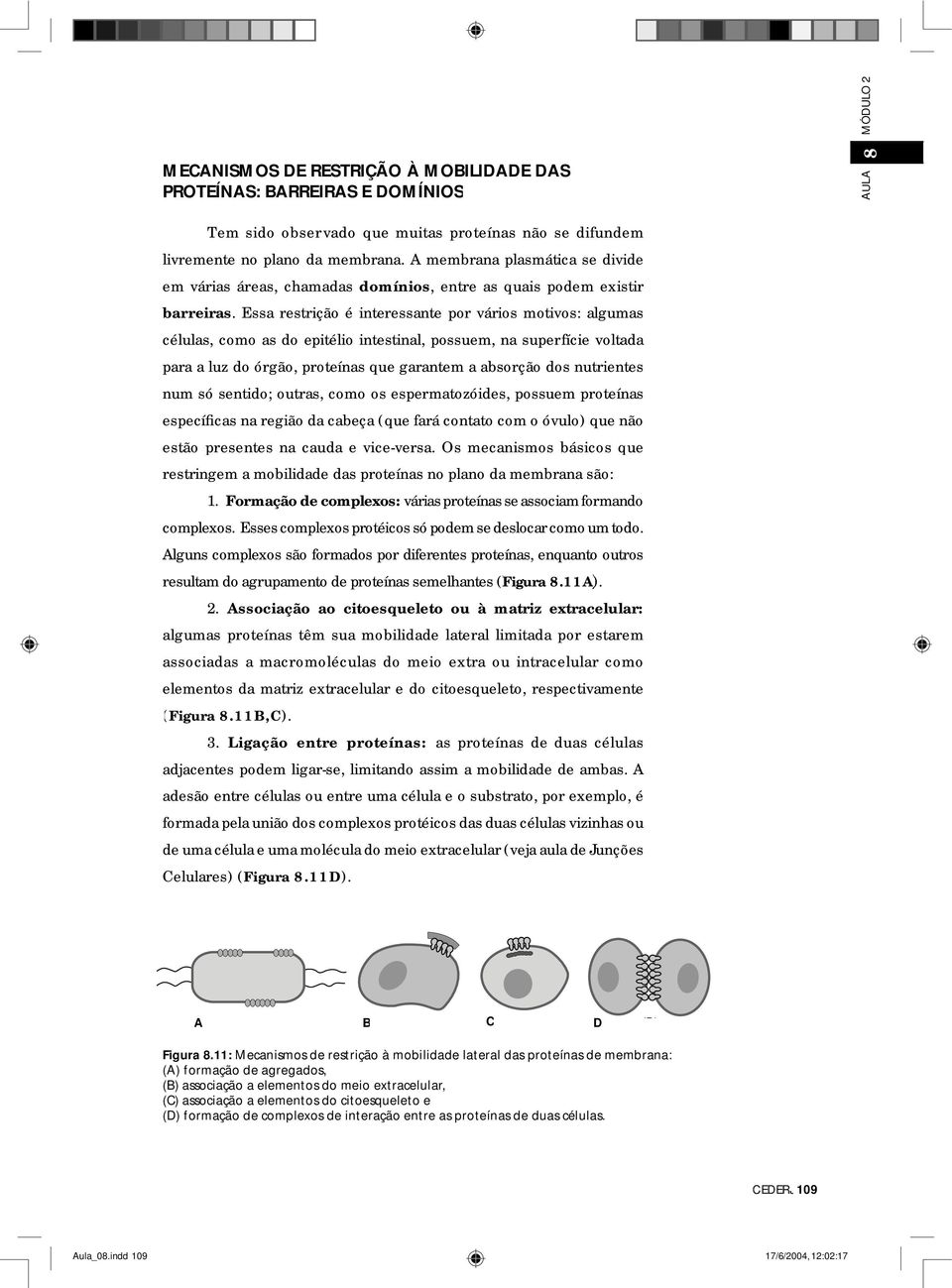 Essa restrição é interessante por vários motivos: algumas células, como as do epitélio intestinal, possuem, na superfície voltada para a luz do órgão, proteínas que garantem a absorção dos nutrientes