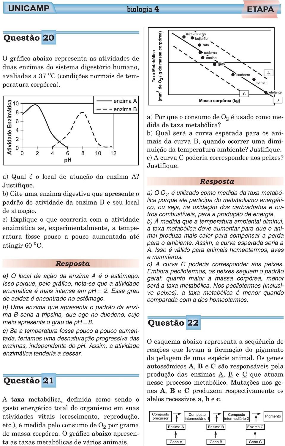 c) Explique o que ocorreria com a atividade enzimática se, experimentalmente, a temperatura fosse pouco a pouco aumentada até atingir 60 o C. a) O local de ação da enzima A é o estômago.