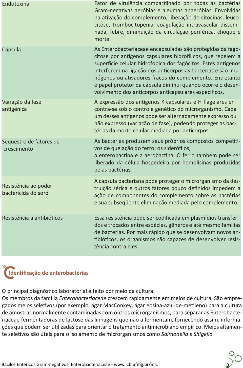 Envolvidas na ativação do complemento, liberação de citocinas, leucocitose, trombocitopenia, coagulação intravascular disseminada, febre, diminuição da circulação periférica, choque e morte.