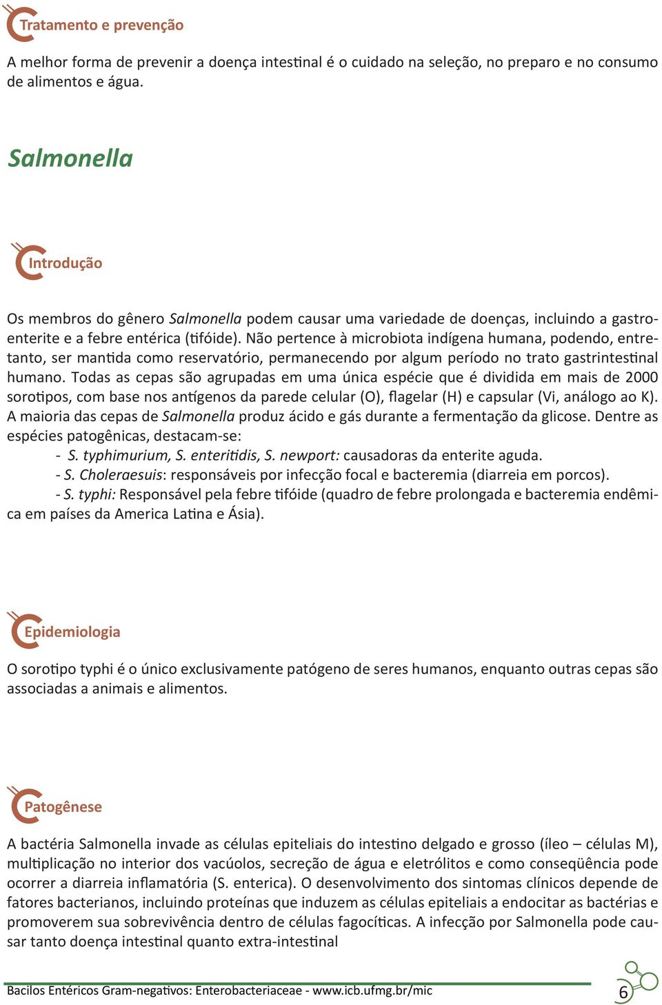 Não pertence à microbiota indígena humana, podendo, entretanto, ser mantida como reservatório, permanecendo por algum período no trato gastrintestinal humano.