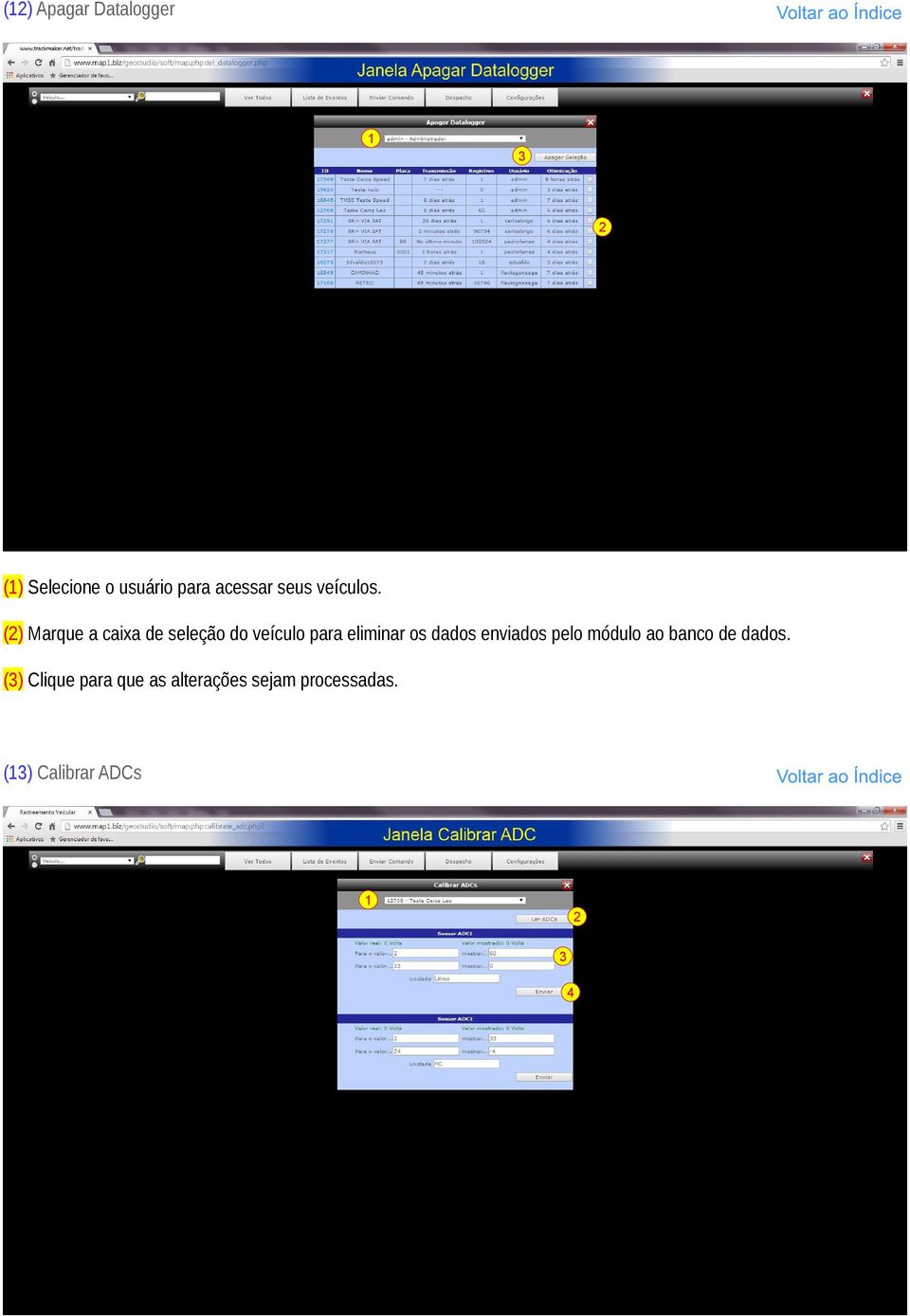 () Marque a caixa de seleção do veículo para eliminar os